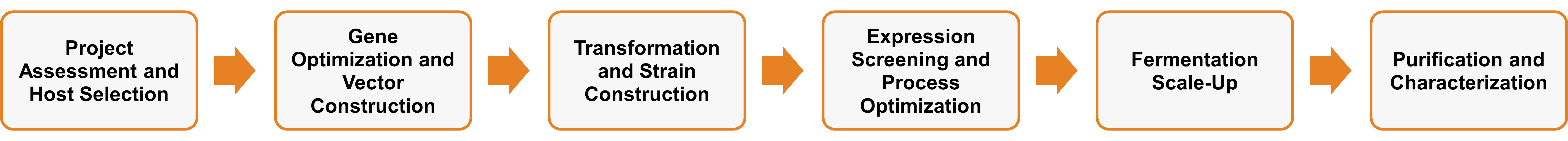 Workflow der Enzym-Expressionsservices in anderen Hefewirten, außer Saccharomyces und methylotrophen Hefen