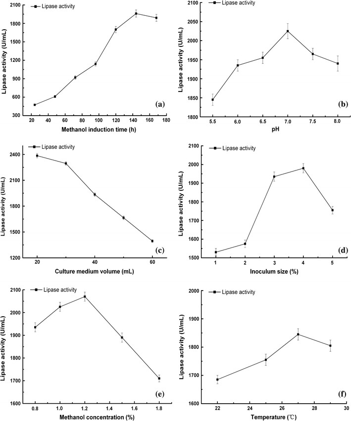 Verbesserte Produktion der Thermomyces lanuginosus-Lipase in Pichia pastoris durch genetische und fermentative Strategien