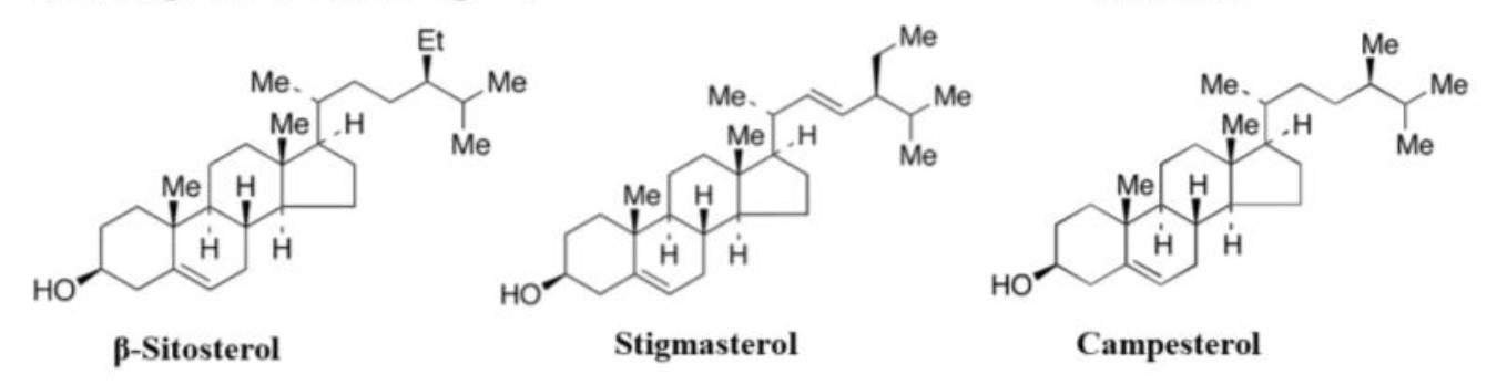 Drei häufige Phytosterole: β-Sitosterol, Stigmasterol und Campesterol.