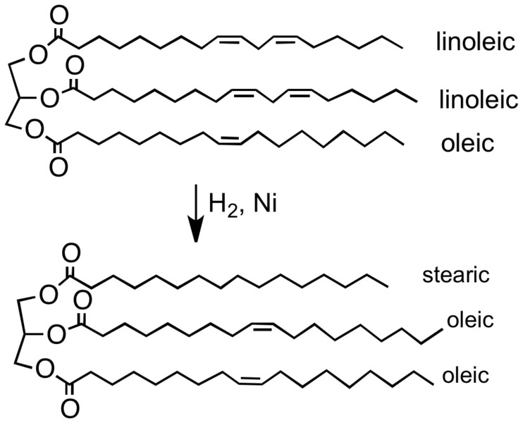 Hydrierungsprozess, der ungesättige Linolsäure in Stearinsäure oder Ölsäure umwandelt.