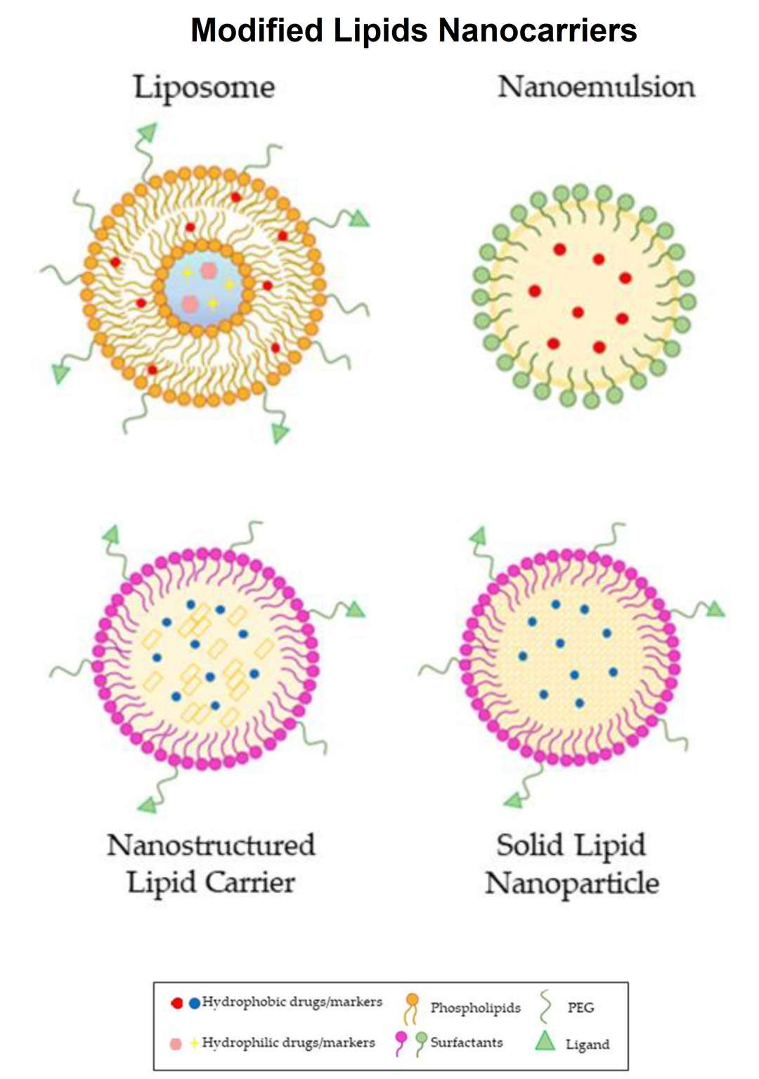 Modifizierte lipidbasierte Nanocarrier: Liposom, Nanoemulsion, nanostrukturierter Lipidträger und feste Lipidnanopartikel.