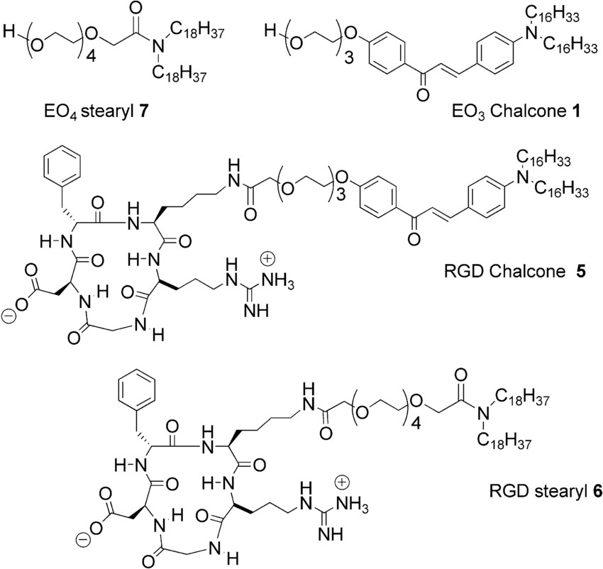 Beispiele für synthetische Lipide: EO4stearyl, EO3Chalcone, RGD Chalcone und RGD stearyl.