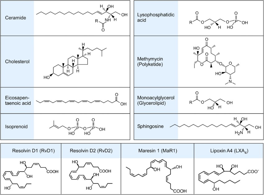 Beispiele für bioaktive Lipide: Ceramid, Cholesterin, Eicosapentaensäure, Isoprenoide und mehr.