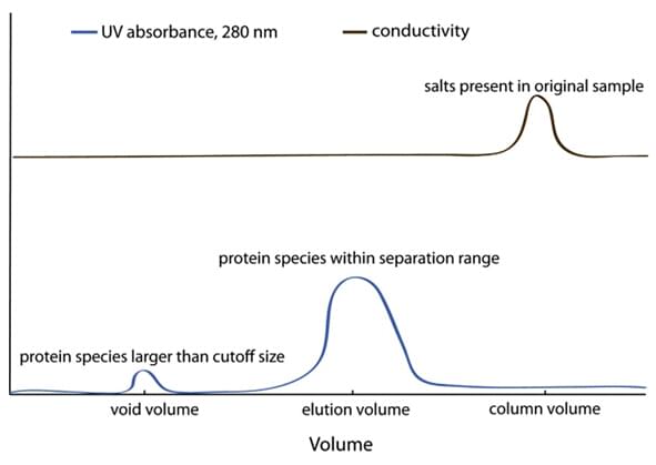 Schlüsselparameter der Gelfiltration (Größenausschlusschromatographie) von Proteinen
