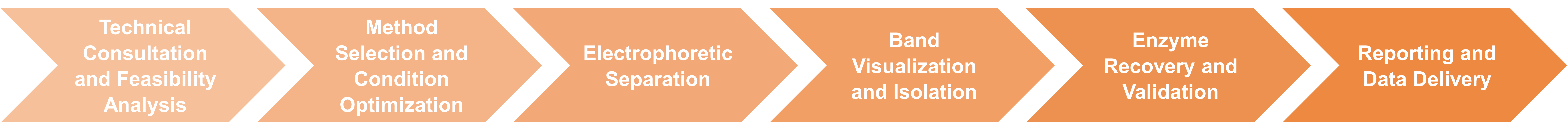 Workflow der elektrophoretischen Reinigung