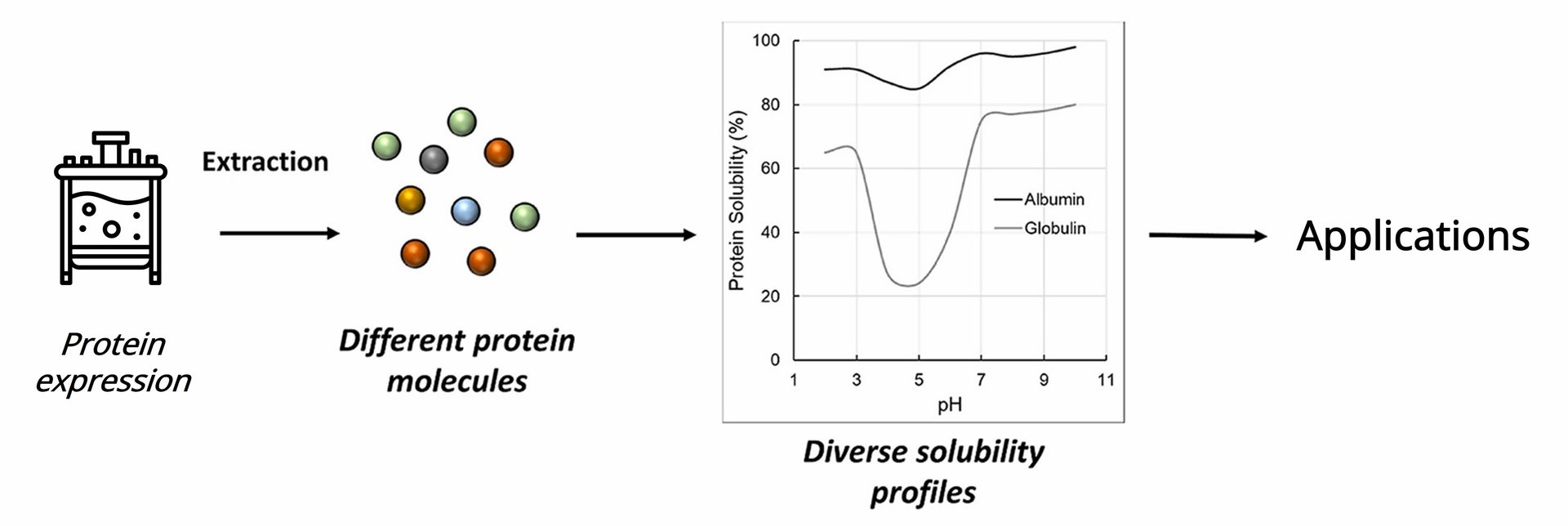 Proteinlöslichkeitsanalyse und ihre Bedeutung für alternative Proteine