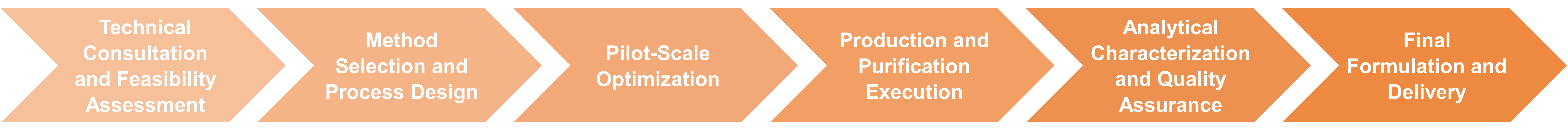 Workflow der Enzymreinigung