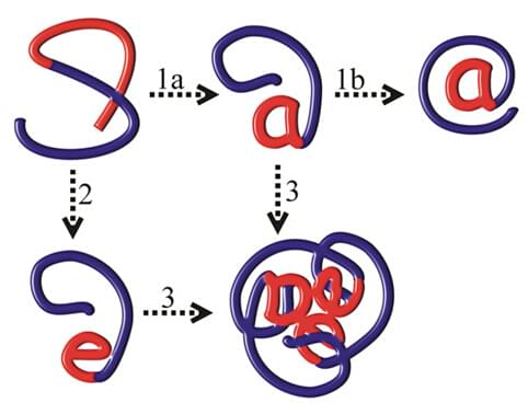Strategien zur Rückgewinnung aktiver Proteine durch Refolding bakterieller Inclusion Bodies