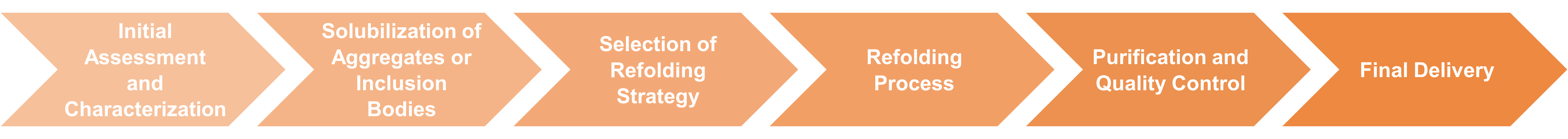 Workflow der Dienstleistungen zur Enzymrückgewinnung und zum Refolding
