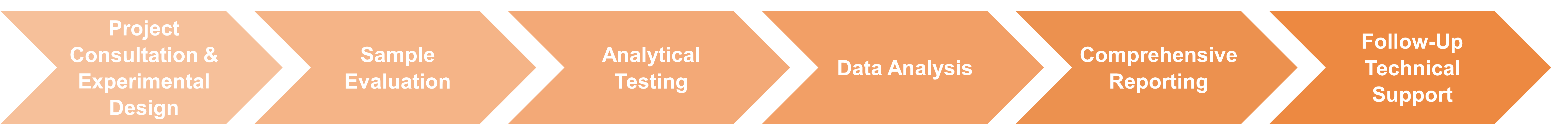 Workflow des Enzymcharakterisierungsservice