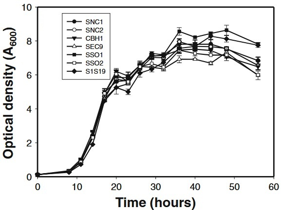 Überexpression nativer exozytotischer SNARE-Gene in Saccharomyces cerevisiae erhöhte die heterologe Cellulase-Sekretion