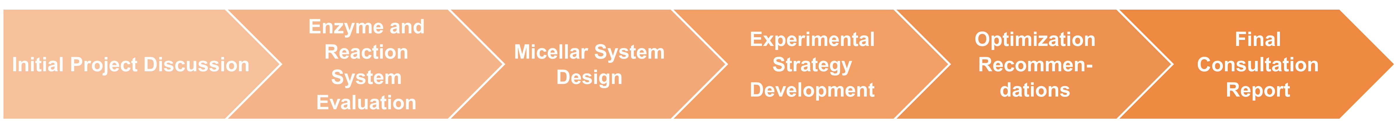 Diagramm des Workflows der technischen Beratung zur mizellenbasierten Enzymstabilisierung