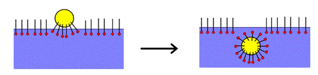 Micelle formation process
