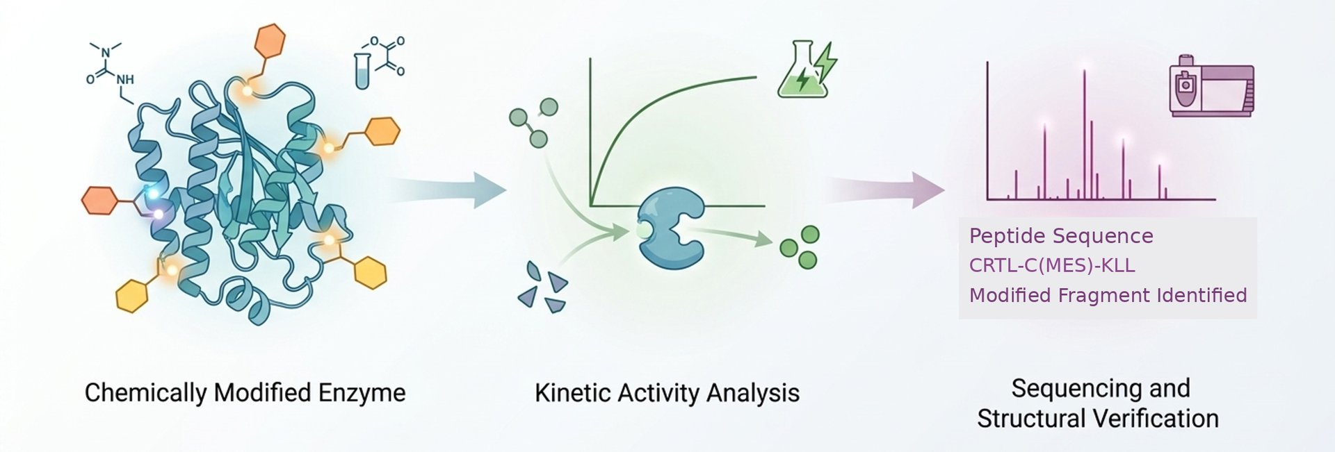 Kinetische Analyse und Sequenzierung chemisch modifizierter Enzyme