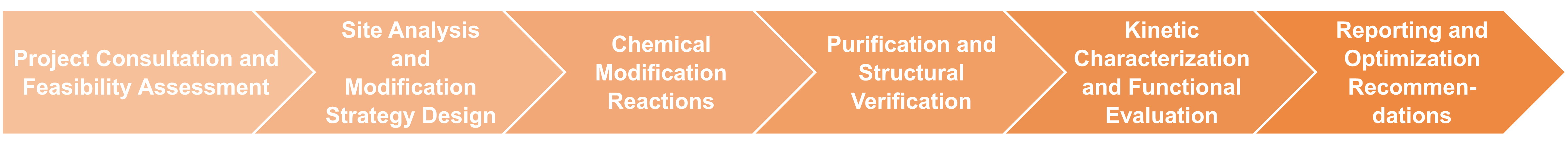 Workflow-Diagramm zur chemischen Modifikation von Enzymen