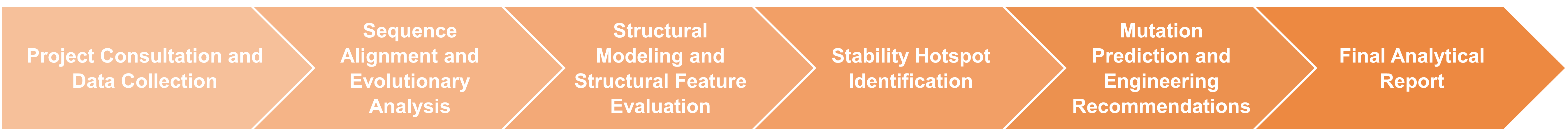 Workflow-Diagramm zur Struktur- und Sequenzanalyse gentechnisch optimierter Enzyme
