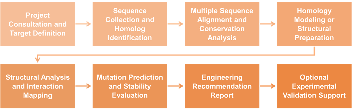 Workflow-Diagramm für computergestützte Analyse und Homologievergleich engineered Enzyme