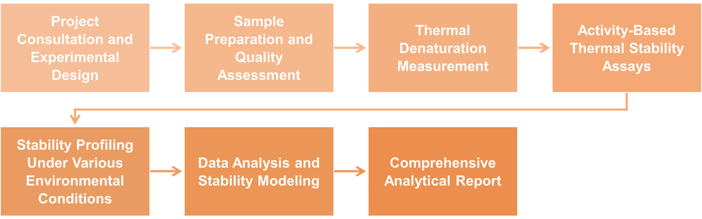 Workflow der Dienstleistung zur Thermo- und Stabilitätsprüfung