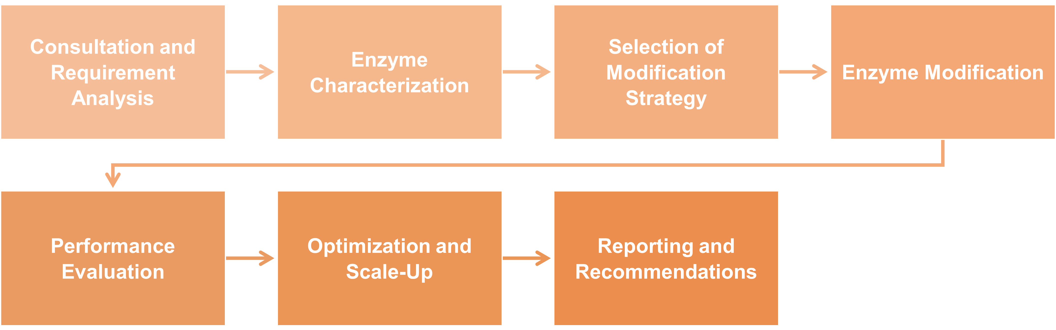Workflow of enzyme modification service