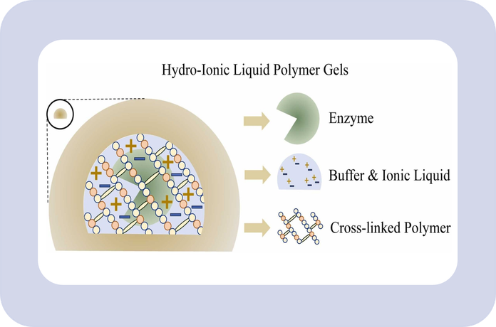 Hydro-ionic liquid polymer gels for enzyme immobilization