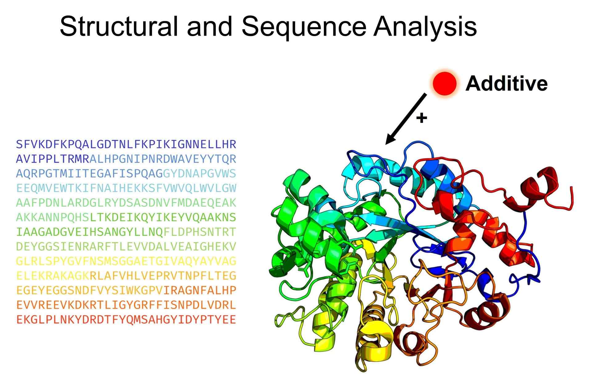 Struktur- und Sequenzanalyse für hilfsstoffstabilisierte Enzyme