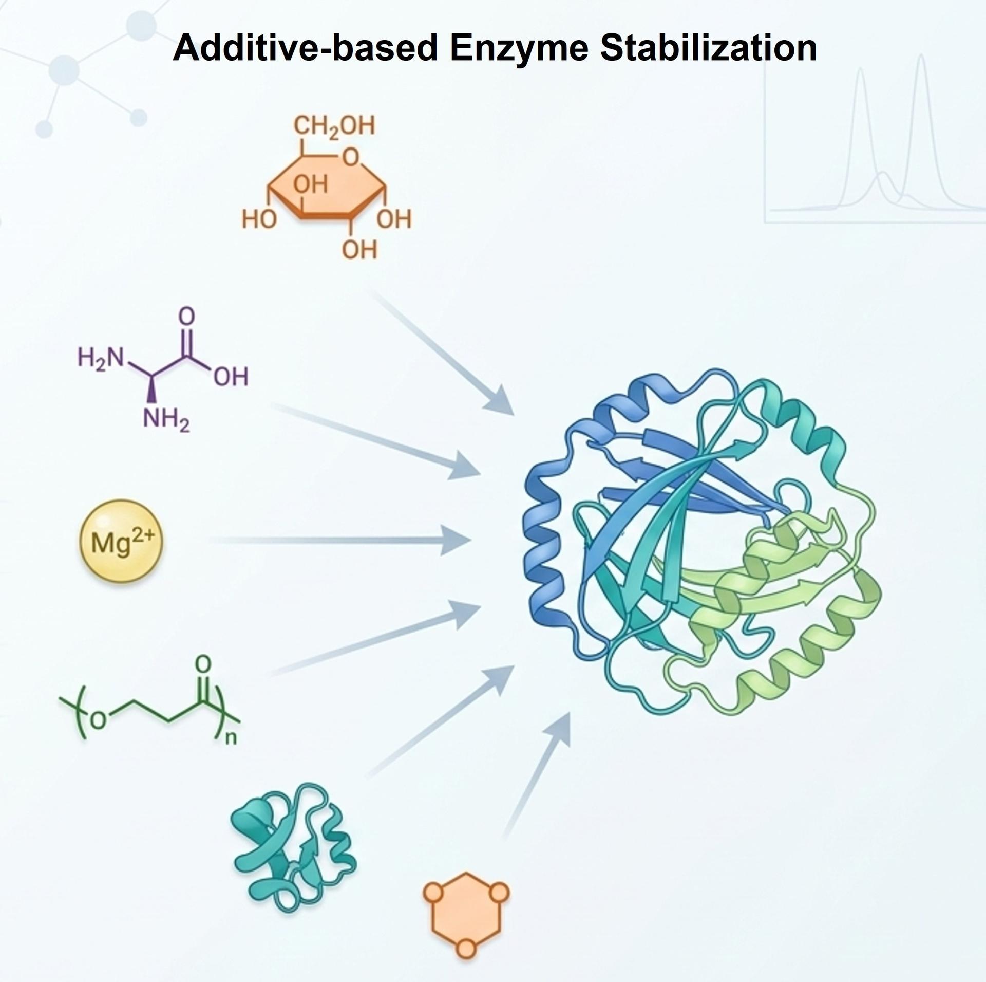 Additive screening and selection for enzyme stabilization
