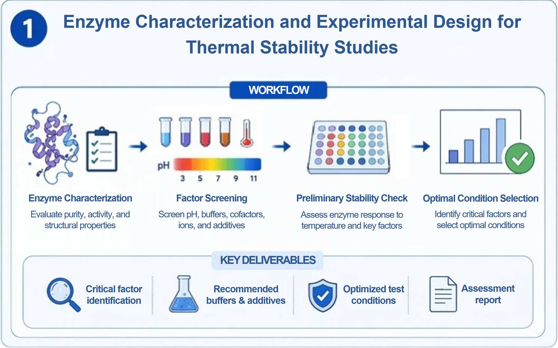 Enzymcharakterisierung und experimentelles Design für Studien zur thermischen Stabilität