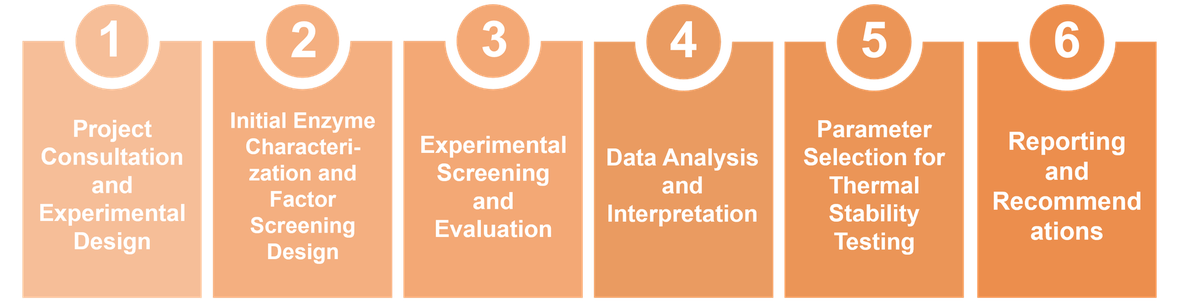 Workflow der Dienstleistung zur Enzymcharakterisierung und zum experimentellen Design