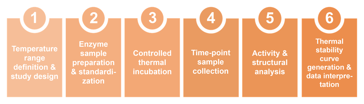 Workflow des Services zur thermischen Stabilitätsprüfung bei mehreren Temperaturen