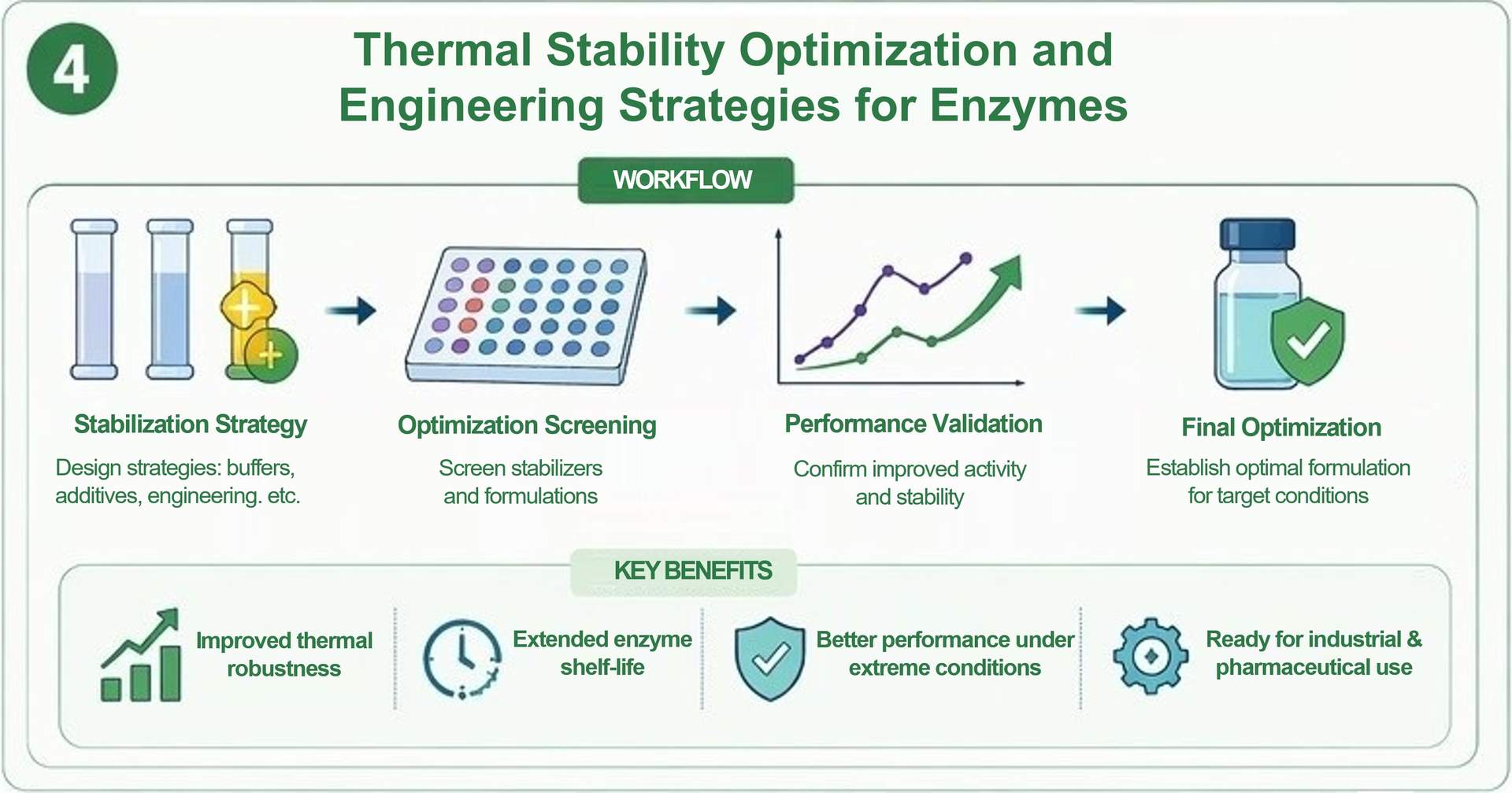 Optimierung der thermischen Stabilität und Engineering-Strategien für Enzyme