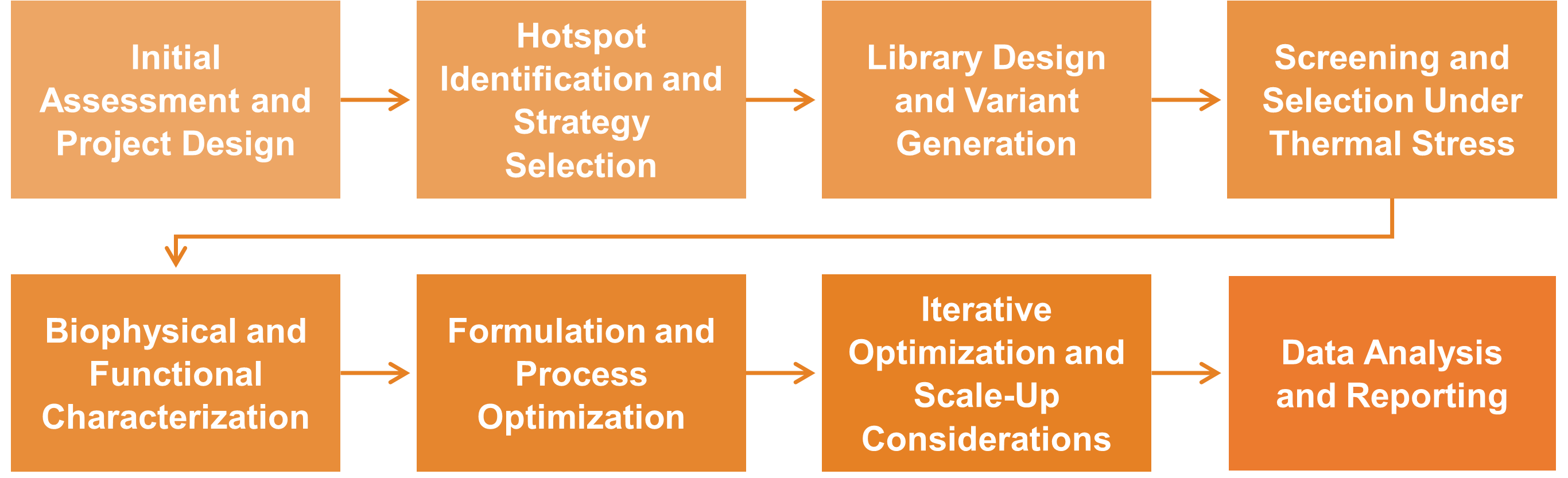 Workflow der Dienstleistung zur Optimierung und zum Engineering der thermischen Stabilität