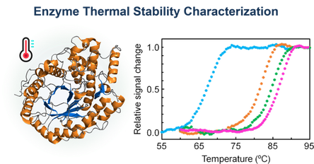 Thermal stability characterization of enzymes