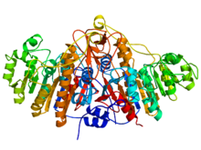Proteinstruktur von ALP.