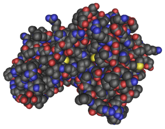 Proteinstruktur von AMPK.