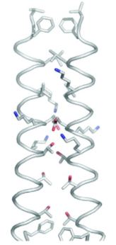 The dimer interface formed by α3 of the two molecules in the asymmetric unit