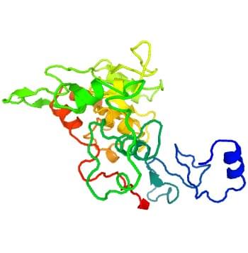 Abbildung 2: Die Kristallstruktur der menschlichen 3-Galactosyl-N-acetylglucosaminid-4-alpha-L-fucosyltransferase
