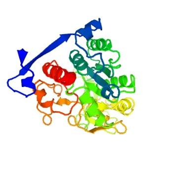 Abbildung: Die Kristallstruktur der menschlichen N-acetyllactosaminid beta-1,6-N-acetylglucosaminyl-transferase.