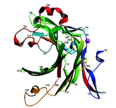 Proteinstruktur von Agarase.
