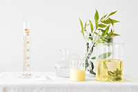Biodieselproduktion