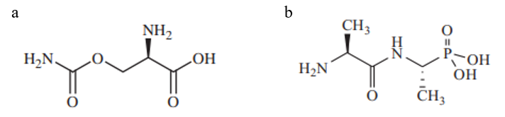 Struktur des Alr-Inhibitors O-Carbamyl-D-Serin und Alafosfalin