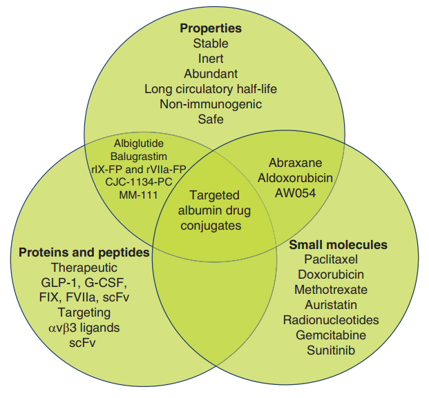 Albumin als vielseitige Plattform für die Medikamentenabgabe