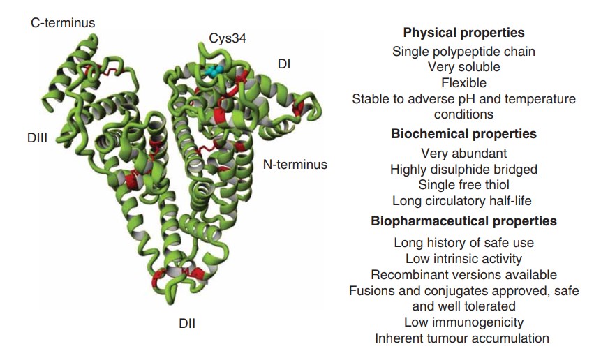 Biochemische und biophysikalische Eigenschaften von Albumin für die Medikamentenabgabe