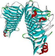 Proteinstruktur der Pektinase.