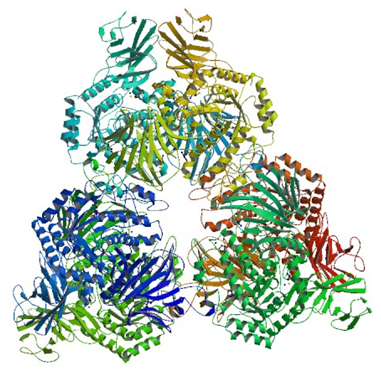 Enzymaktivitätsmessung für Alpha-D-Xylosid Xylohydrolase