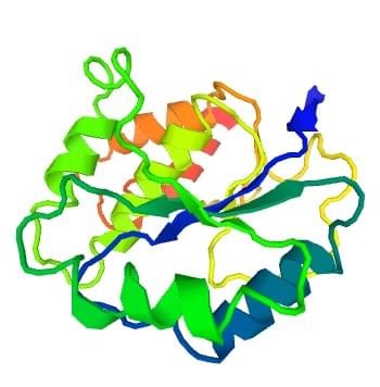 Abbildung: Die Kristallstruktur der menschlichen Lactosylceramid 4-alpha-Galactosyltransferase.