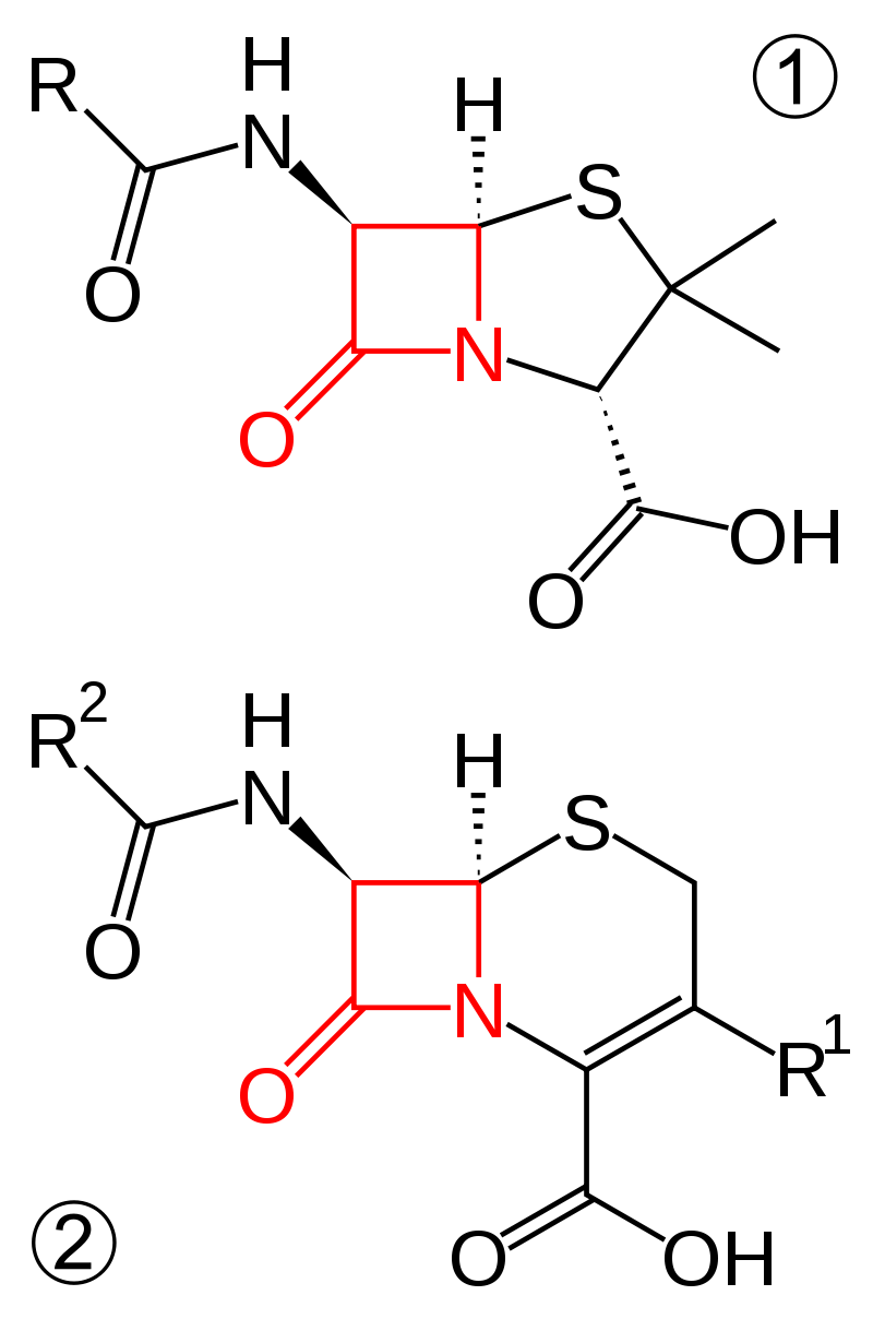 Struktur von β-Lactam.