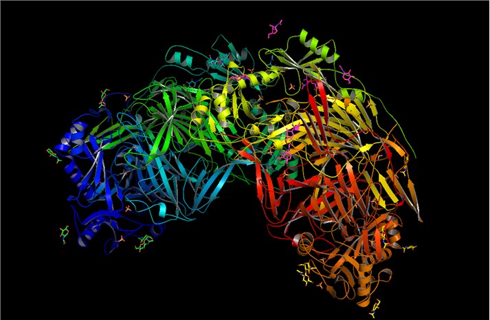 Struktur der Lysyloxidase (LOX)