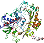 Glukoseoxidase (Lebensmittelqualität)