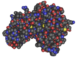 Proteinstruktur von AMPK.