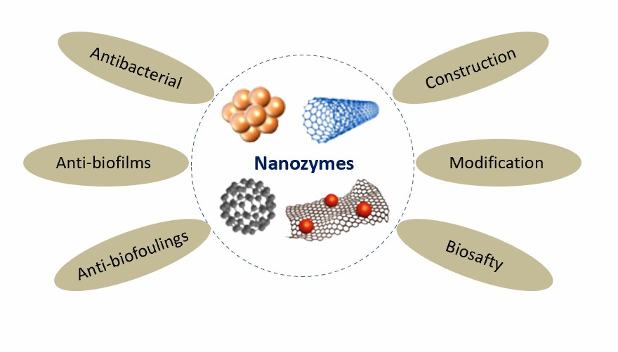 Die Verwendung von Nanozymen in antibakteriellen Anwendungen. - Creative Enzymes